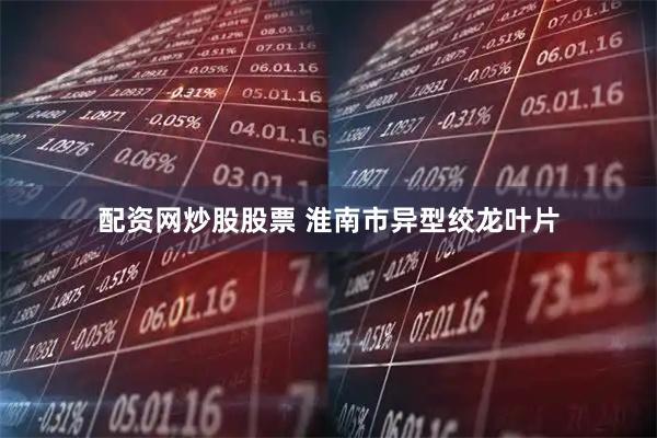 配资网炒股股票 淮南市异型绞龙叶片